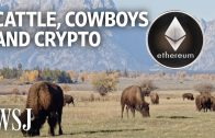 Crypto Investors Take On Wyoming Real Estate | WSJ