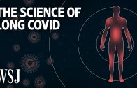 What Causes Long Covid and Who Is Most at Risk? | WSJ